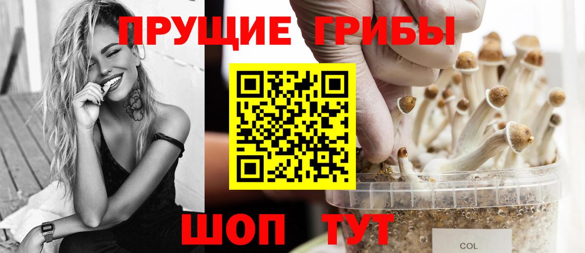 Псилоцибиновые грибы Азов