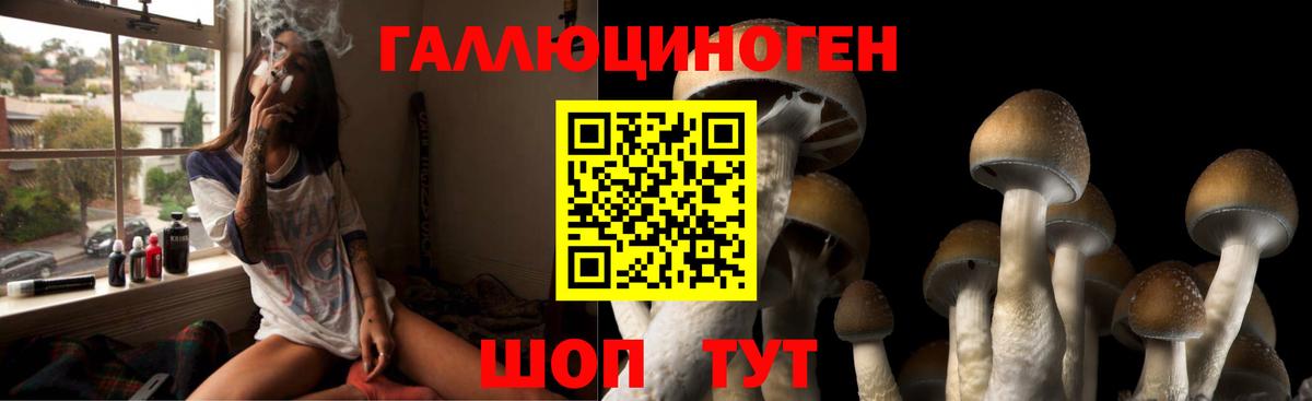 Галлюциногенные грибы прущие грибы  Вход с VPN  Азов  Галлюциногенные грибы мицелий 